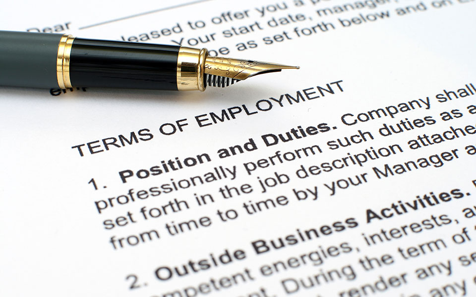 Employment Litigation
