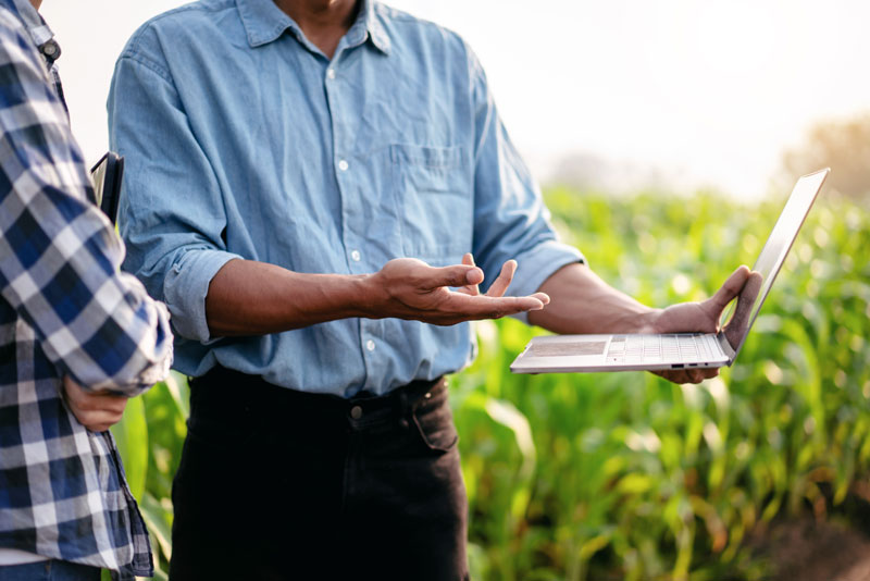 Agribusiness